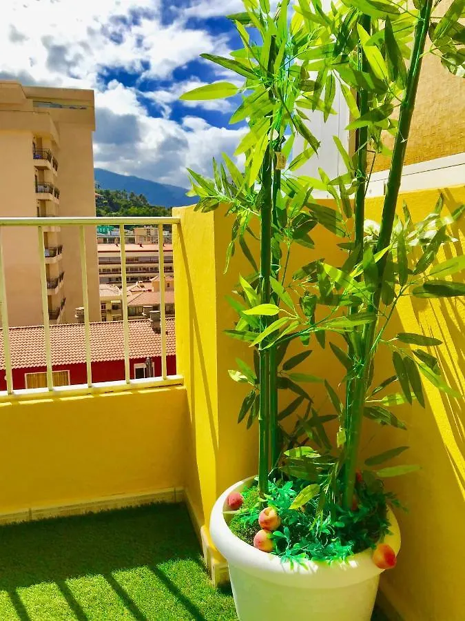 Apartment With Teide Views By The Beach Puerto de la Cruz  0*, Puerto de la Cruz (Tenerife) İspanya